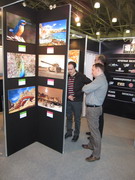 ������� � �������� ���������-2011